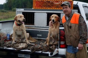 Dogs In Truck                 